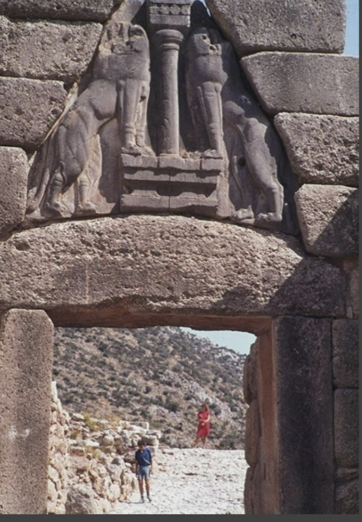 term image