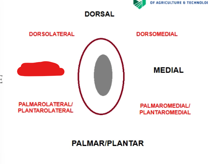 <p>what is it</p>