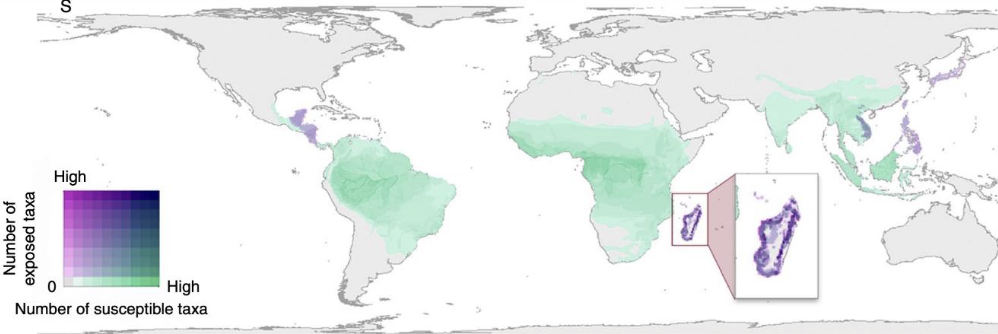 <ul><li><p>primate species vulnerable: a new study has assessed where affected species are found</p></li><li><p>risking increasing globally, including mainland africa, madagascar, asia, and the neotropics</p></li></ul><p></p>