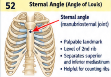 <p>It is the palpable junction of the manubrium and sternal body, where the second costal cartilage attaches. Finding it lets you locate rib 2 and count ribs and intercostal spaces. It lies approximately at the T4 to T5 intervertebral level.</p>