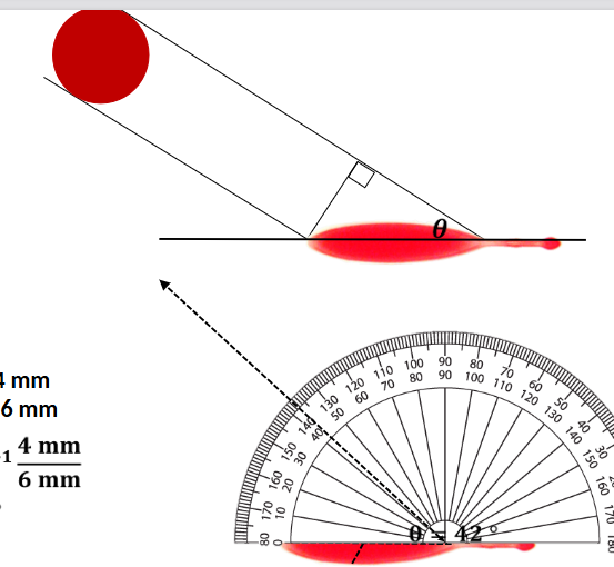 <p>Determined by stain shape; shows direction of travel</p>