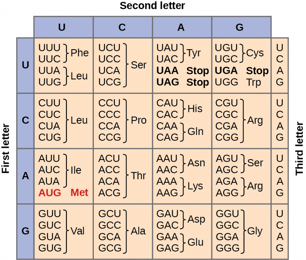 <p>Genetic code</p>