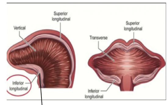 <p>what does this show</p>