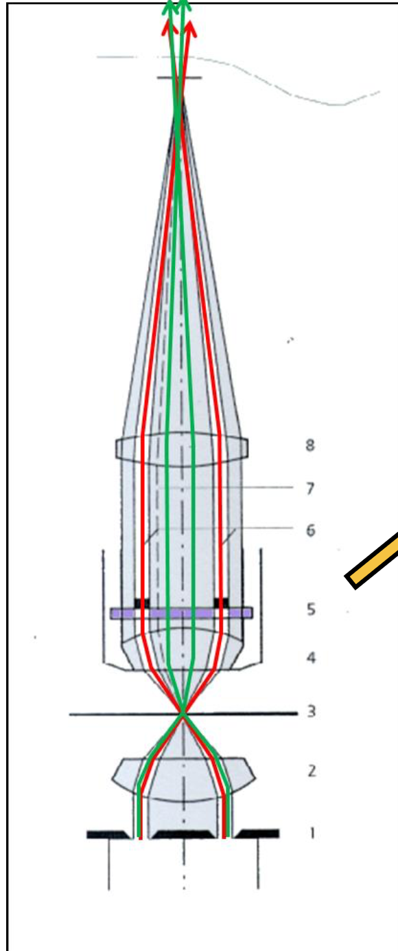 <p>Microscopía de <strong>contraste de fases</strong></p>