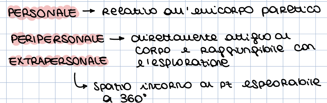 <p>Sesso età</p><p>APR: patologie pregresse, terapia farmacologiche: —> ipertensione, diabete</p><p>APP: data e modalità esordio (già dato il 20.01.2025), data presa in carico —> circa due settimane dopo, esai strumentali—> tac cranio</p><p>interventi? evacuazione ematoma e asportazione mav il 24.01</p><p>ESAME SOGGETIVO</p><ul><li><p>Famiglia</p></li><li><p>abitazione</p></li><li><p>lavoro</p></li><li><p>hobby, sport</p></li></ul><p></p><p>ESAME OGGETIVO</p><p>OSSERVAZIONE: contatto oculare, paramtri vitali, rispsota verbale, postura a letto presenza di presidi, stato della cute (es presenza edemi, ematomi..)</p><p>VALUTAZIONE ARTICOLARE, con mobilizzazione passiva</p><p>VALUTAZIONE MUSCOLARE —> MOTRICITY INDEX</p><p></p><p>SPECIFICO MOTORIO</p><p>VALUTARE TONO CON ASWORTH</p><p>VALUTARE IRRADIAZIONE VALUTO CON GESTI FUNZIONALI</p><p>VALUTARE SCHEMI ELEMENTARI VALUTO CON OSSERVAZIONE GESTO FUNZIONALE</p><p></p><p>SPECIFICO COGNITIVO</p><p>AFASIA</p><p>NEGLECT- (TEST BARRAGE, OSSERVANDOLO)</p><p>APRASSIA</p><p></p><p>FUNZIONALE</p><p>CONTROLLO DEL CAPO</p><p>MANTENIMETO</p><p>SOSTEGNO</p><p>PROLUNGAMENTI</p><p></p><p>TRASFERIMENTI E PP- PASS</p><p>paziente non parla afasia + cet —> tavola movimenti con testa</p><p>Obiettivi:</p><p>disalettamento, in ottica anche di prevnzione dei danni secondari e terziari (escara —DIABETE!)</p><p>prima alzo testeira pv e paziente (devo capire se sono discordanti le rispote)</p><p>seduta legs out paramentri , controllo tronco mantenimento, sostegno e eprolungamento</p><p>Da seuta come in ogni emi, mi POSSO ASPETTARE DISTRIBUZIONE DEL CARICO ALTERATO</p><p>posso anche fare tcs, decubiti LCF5 dovrebbe eserguire compiti semplici controllo VALUTA ANCHE INTEGRAZIONE PARTE PLEGICA DICE RISPARMIO MA NON IPERTONO POSSO PENSARE CHE SIA UTILIZZATA POCO</p><p>Con valutazione del capo e tronco valuto carrozzina</p><p>POSSO CHIEDERE CAMMINO ISCHIATICO (MA MATERASSO?)</p>