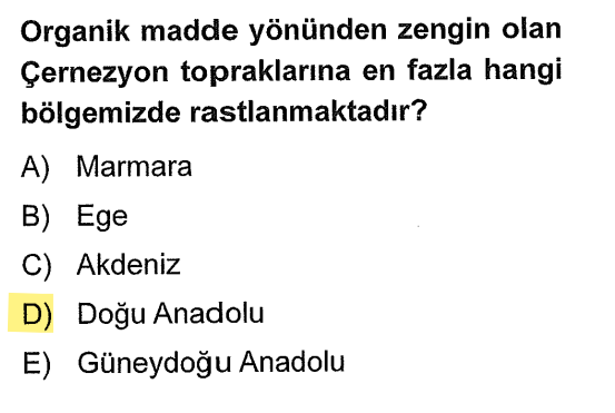 <p>Çernezyom denince aklına direkt <strong>Erzurum-Kars-Ardahan Platosu</strong> gelmeli. Burası da Doğu Anadolu Bölgesi’ndedir.</p>