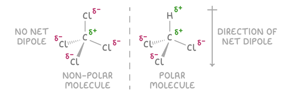 <p>Charge is unevenly distributed in polar molecules </p><p>CCL4 = non- polar = symmetric arrangement causes dipoles to cancel out, even though it has polar bonds </p><p>CHCL3 = polar = asymmetric arrangemtn doesn’t allow dipoles to cancel out, lead to a net dipole </p><p>Difference in electronegativity between C-Cl and C-H causes dipoles to not fully cancel out </p>