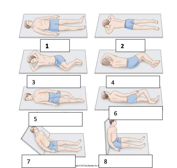 <ol><li><p>supine</p></li><li><p>prone</p></li><li><p>right lateral decubitus</p></li><li><p>left lateral decubitus</p></li><li><p>right posterior oblique</p></li><li><p>left posterior oblique</p></li><li><p>sitting semi-erect</p></li><li><p>sitting erect</p></li></ol><p></p>