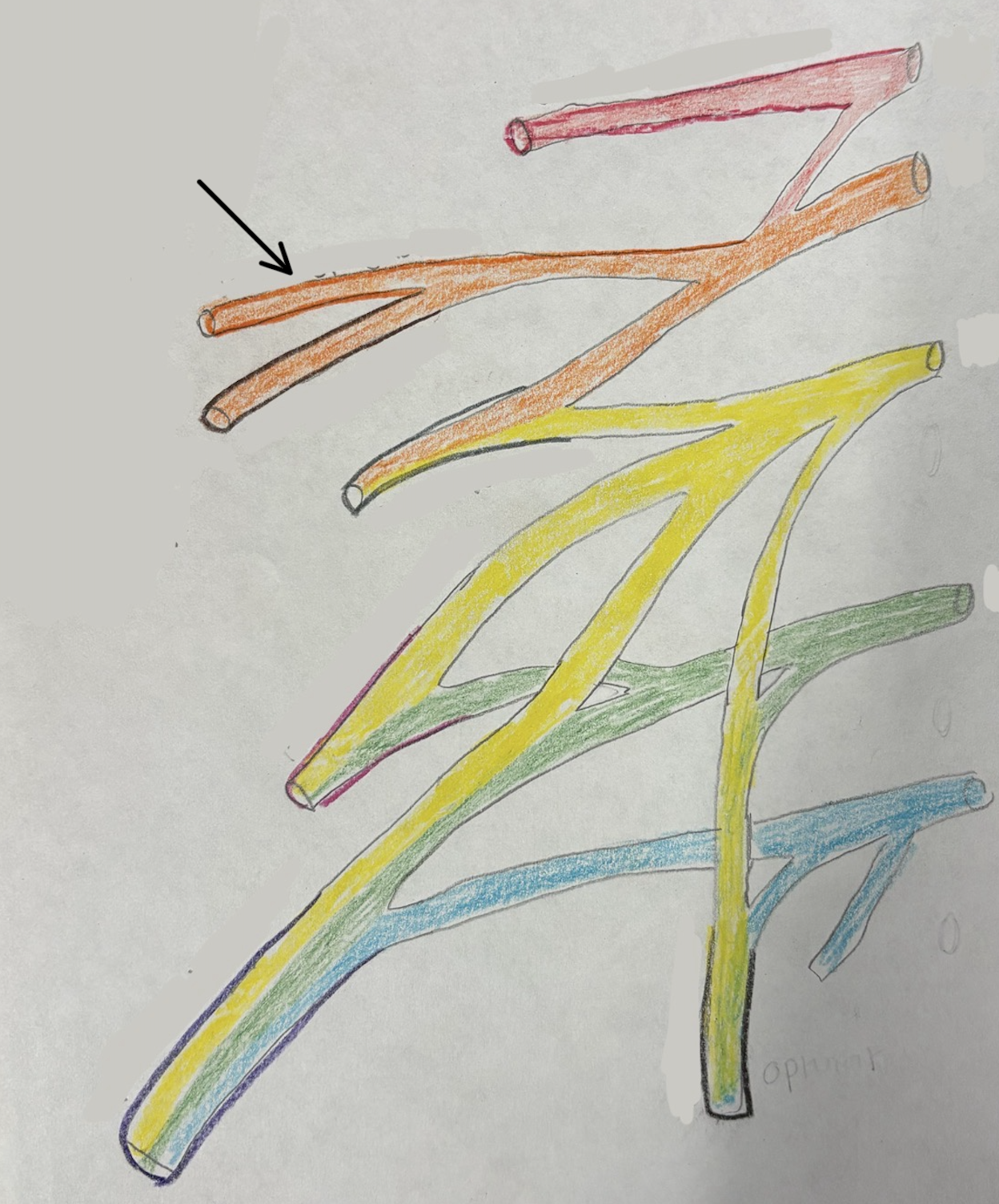 <p>what nerve is this?</p>