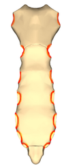 <p>name indentations</p>