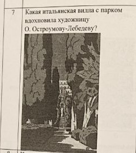 term image