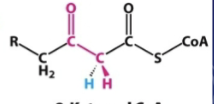 <p>What is this intermediate </p>