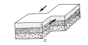 <p><span>Ứng suất cắt / trượt</span></p>