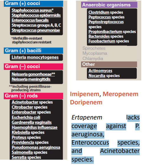 <p>Can treat ESBL-producing bacteria (E.g.: E. coli and K. pneumoniae).</p><p>Lacks coverage against P. aeruginosa, Enterococcus species, and Acinetobacter species.</p>