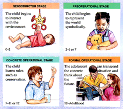 <p>Sensorimotor-explores through the senses, gains object permanence</p><p>Preoperational-can't see other people's point of view (egocentrism)</p><p>Concrete operational-concept of conservation, logical thinking</p><p>Formal operational-adult reasoning develops, abstract thinking, metacognition (thinking about thinking)</p>