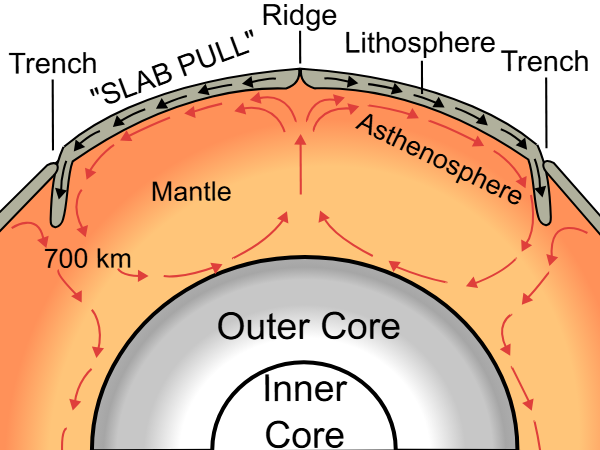 <ul><li><p>Suggests the oceanic crust gets older with distance from the mid-oceanic ridge</p></li><li><p>Implies the Earth is getting bigger → evidence of huge oceanic trenches linked to the idea of subduction where the ocean floor was being pulled down by hot spots which generate thermal convectional currents causing magma to rise up and spread before cooling and sinking with the plates floating on top</p></li></ul><p></p>