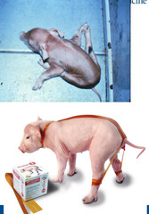 <p>What is happening here, and at what point do you decide it will/will not work?</p>