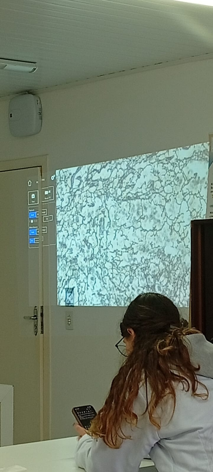 term image