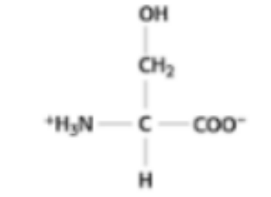 <p>What amino acid is this?</p>