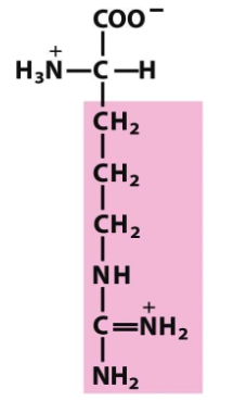 <p>What structure is this? And what group does it fall under?</p>