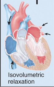 <p>Isovolumetric (same vol) relaxation - Ventricles relax, pressure drops, aortic valve close (no backflow from aorta), no blood moving (vol same)</p>