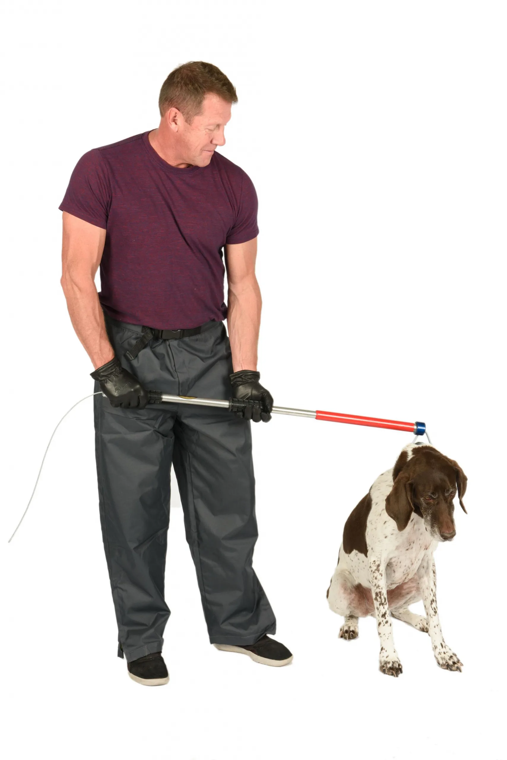 <p>catch pole (rabies pole)</p>