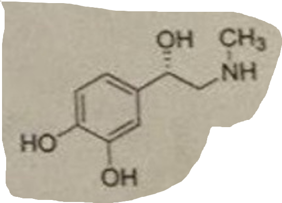 <p>Name it</p>