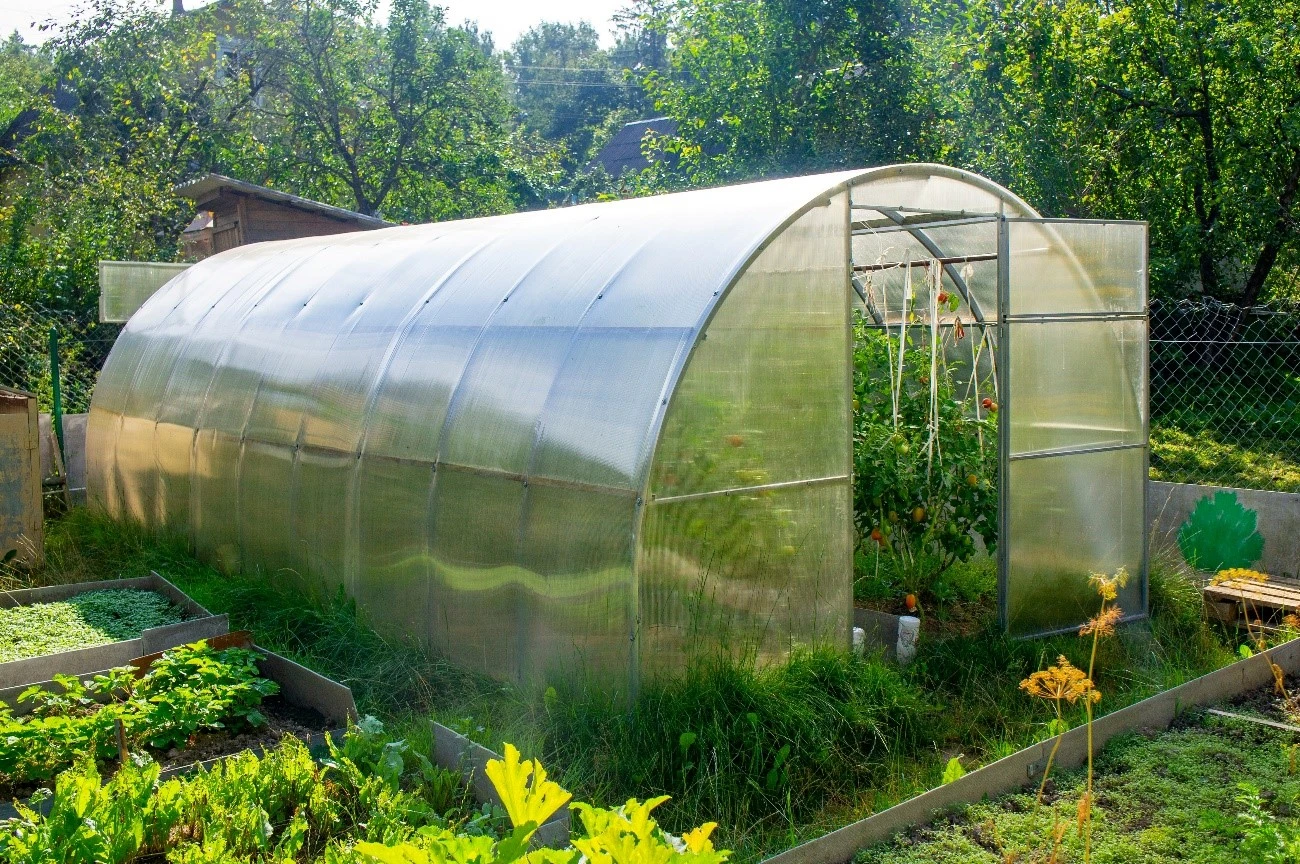 <p>Greenhouse</p>