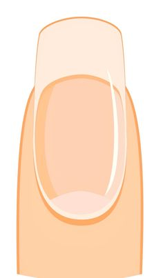 <p>Fingernail</p>