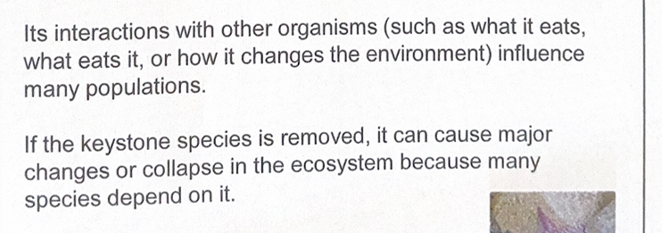 <p>A keystone species is not necessarily abundant in number in a food web, yet it can exert a large effect on population numbers of other species in the community. Keystone species may have different niches, but they each have a disproportionate effect on how their ecosystem functions.</p>