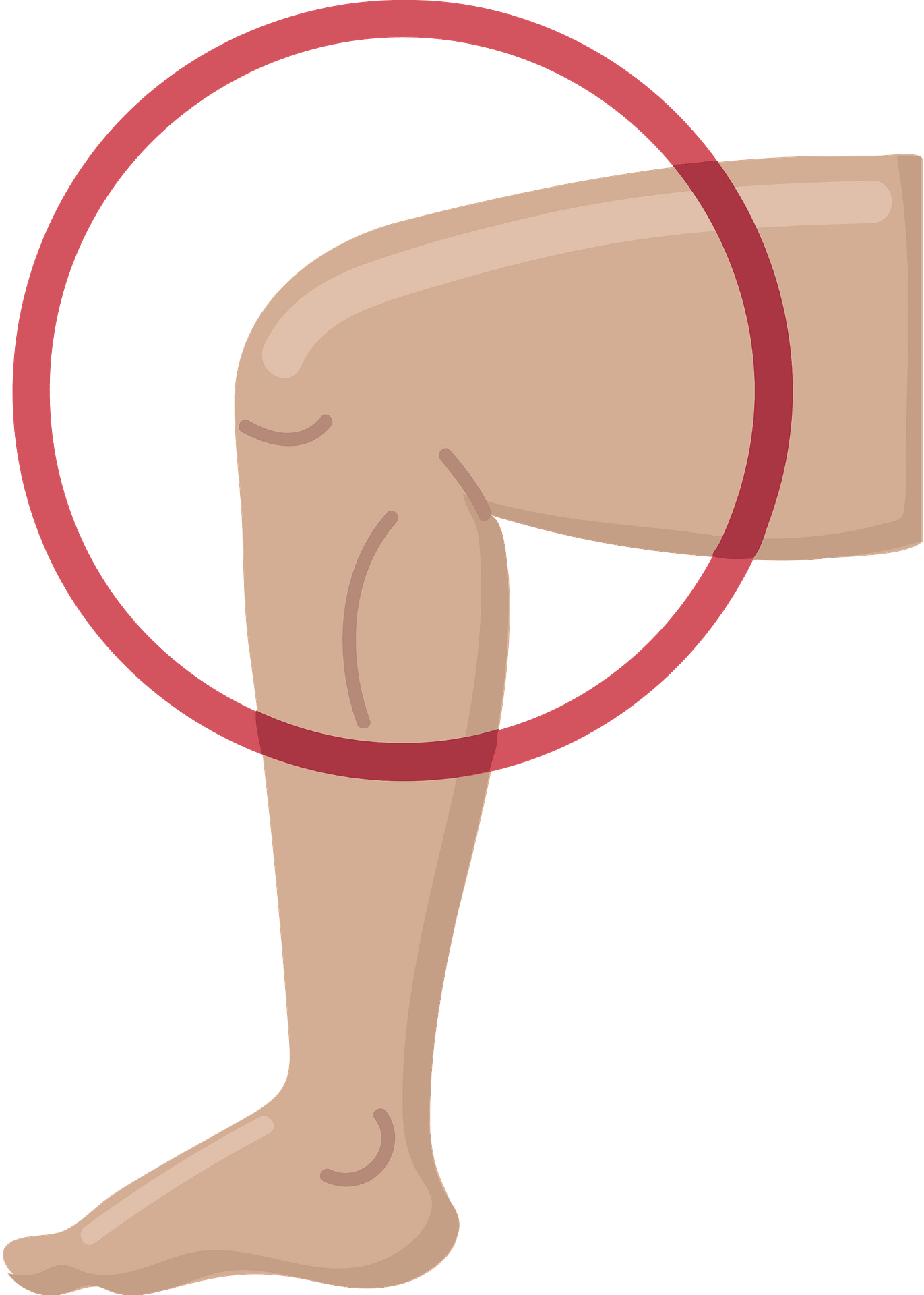 <p>knee</p>