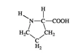 <p>P, Pro</p>
