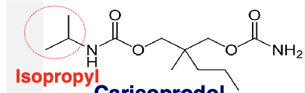 <ul><li><p>effects mutliple sites in the CNS including the thalamus and limbic system</p></li></ul><p></p>