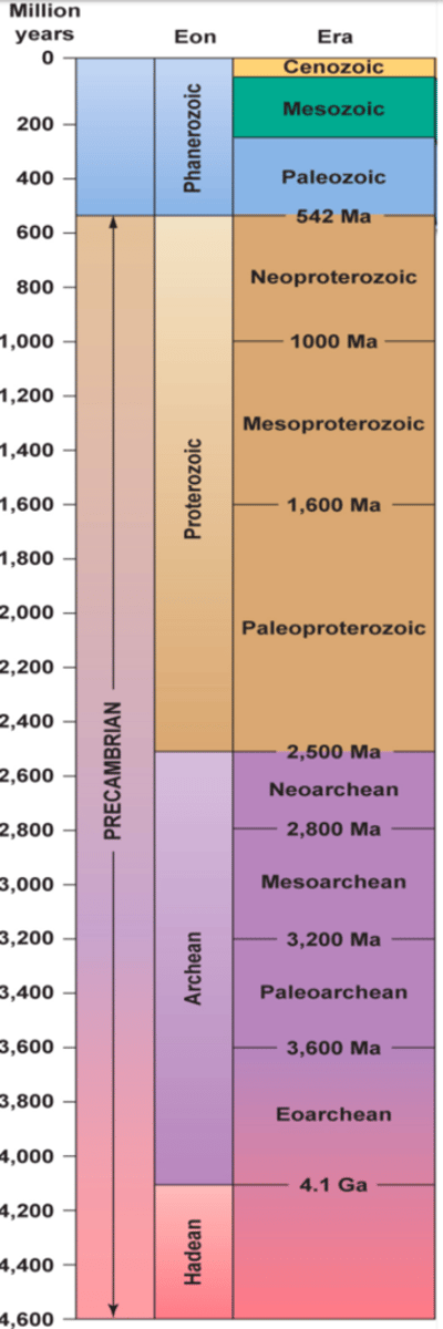 <p>Hadean, Archean, Proterozoic, Phanerozoic</p>