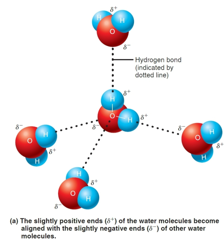 <p><span style="background-color: transparent;">&nbsp;weak type of attractive interaction that forms when a hydrogen atom covalently bonded to a strongly electronegative atom (like oxygen, nitrogen, or fluorine) experiences an electrostatic attraction to another nearby electronegative atom&nbsp;</span></p><p><span style="background-color: transparent;"><strong>Why are they important:&nbsp;</strong></span></p><p><span style="background-color: transparent;"><strong>Water properties</strong>: They give water a high boiling point and make it liquid at room temperature.</span></p>