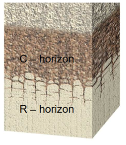 <p><strong>R-horizon:</strong></p><p>• Unweathered bedrock</p>