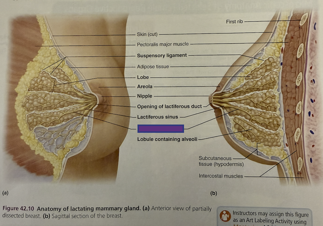 <p>What is this and its function?</p>