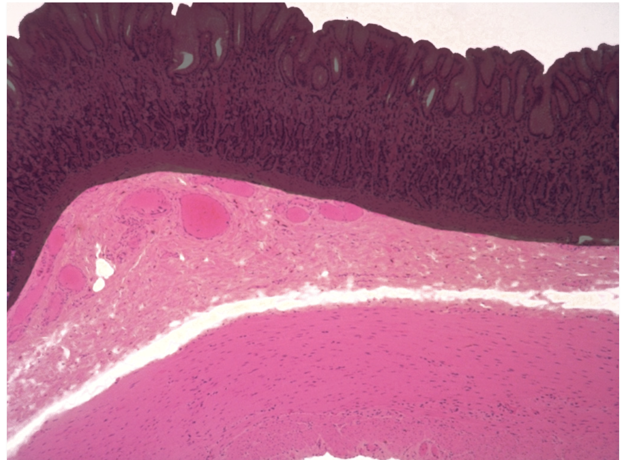 <p>what is this structure?</p>