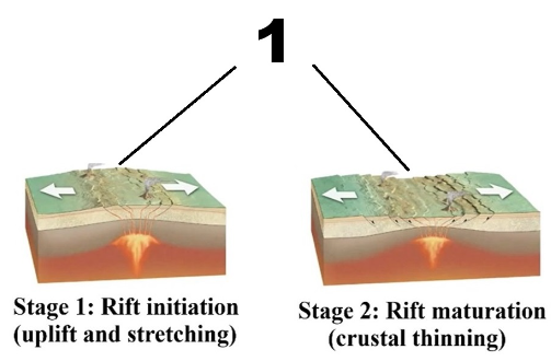 <p><span>Which of the following options are correct regarding the </span><strong>tectonic activity</strong><span> during the </span><strong>initial stages of rifting</strong><span> (figure above)? (mark all that applies)</span></p>