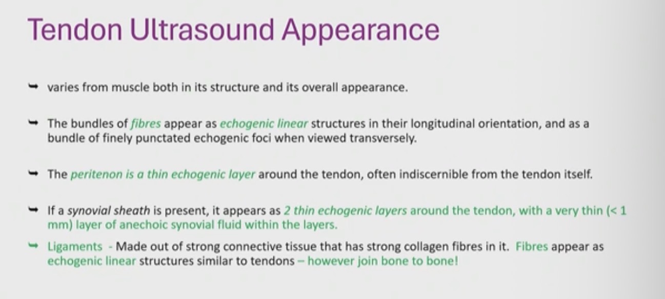 <p>Ligaments → bone to bone </p><p>Tendons → bone to muscle </p>