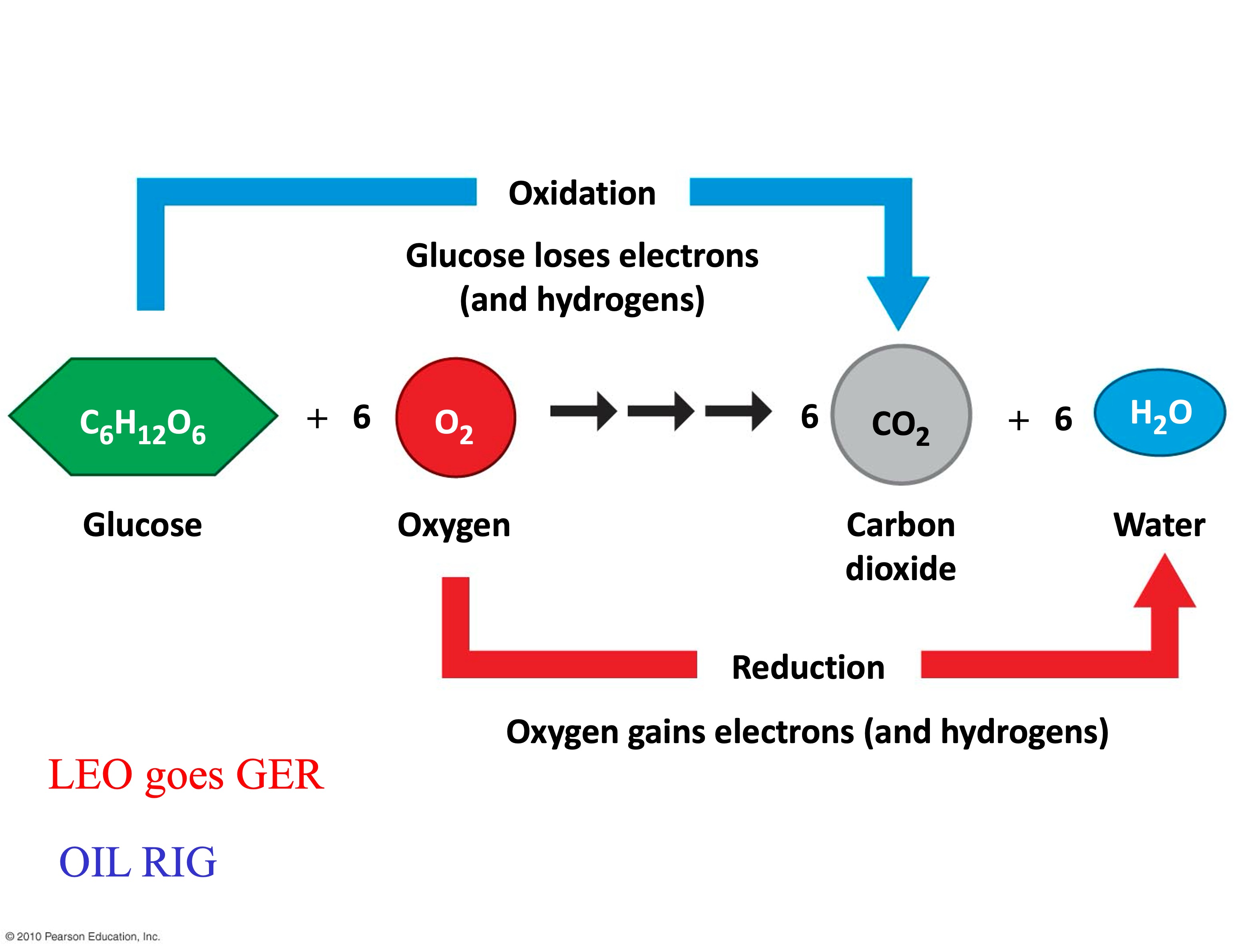 <p>chemical reactions where there is a partial or complete loss/gain of electrons </p><p>→ oxidation and reduction</p><ul><li><p><span>electrons in a polar covalent bond have less chemical energy than those in a nonpolar covalent bond→ partial or complete loss</span></p></li></ul><p></p>