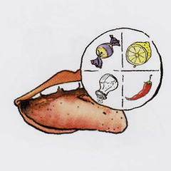 <p>How does it taste?</p>