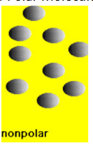 <p>less orderly due to less attraction</p>