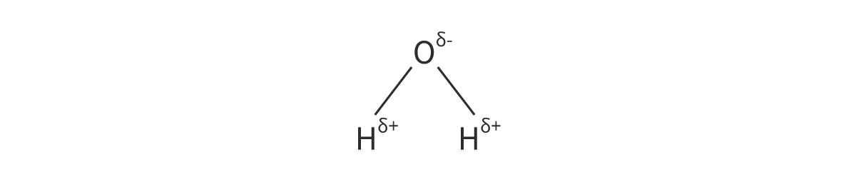 <p>When drawing water, the element symbol is used to represent the atoms and a solid line is used to show a covalent bond. The superscript + and − symbols show the charge of the atom, and the small delta (δ) shows that the charge is partial.</p>