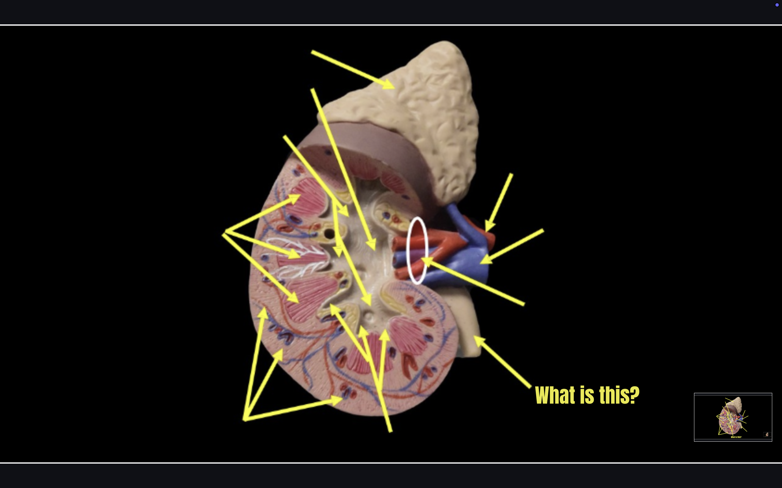 term image