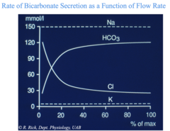 <p>Sodium Bicarbonate</p>
