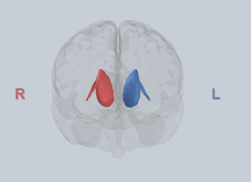 <p>Computes action values given current goals</p>