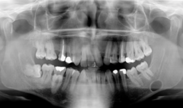 <p>what is the mangament? </p>