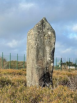 <p>raised stone, large, upright standing stone, French term</p>