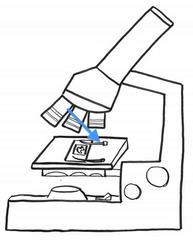 <p>Holds the slide in place</p>